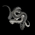 Cobra Stainless Steel Vintage Ring