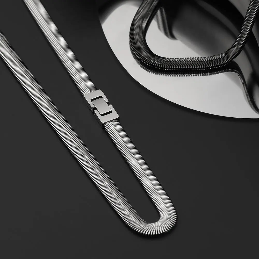 Dual Layer Snake Bone Stainless Steel Chain