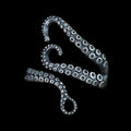 Octopus Tentacle Stainless Steel Animal Ring