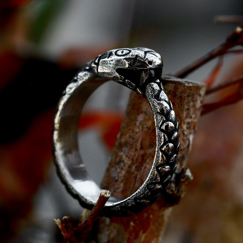 Ouroboros Stainless Steel Ring