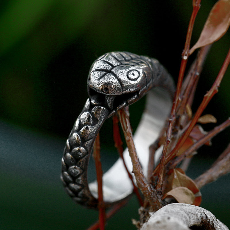 Ouroboros Stainless Steel Ring