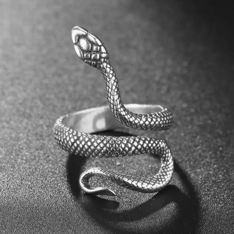 Retro Snake Stainless Steel Ring