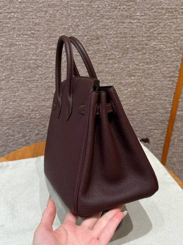 Birkin 25 Colour：0G/Rouga seller - 图片 7