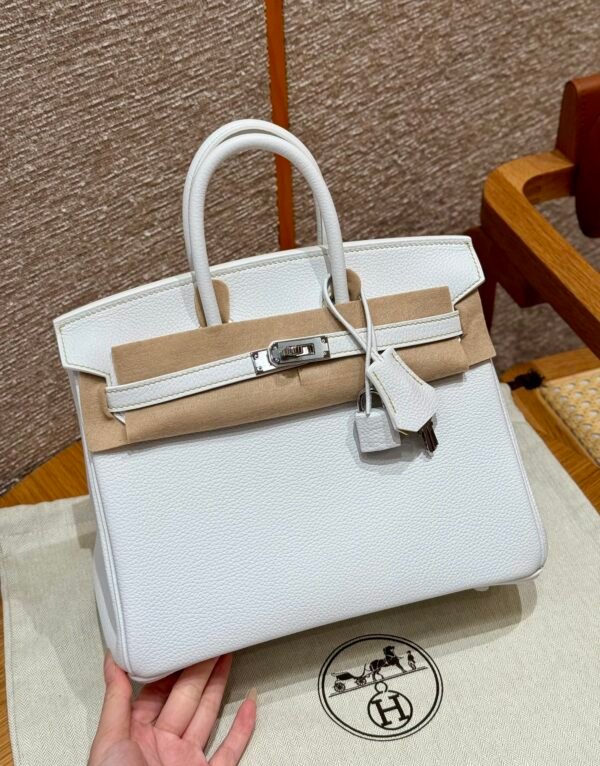 Birkin 25 Colour：01/Blanc/9R/Lime