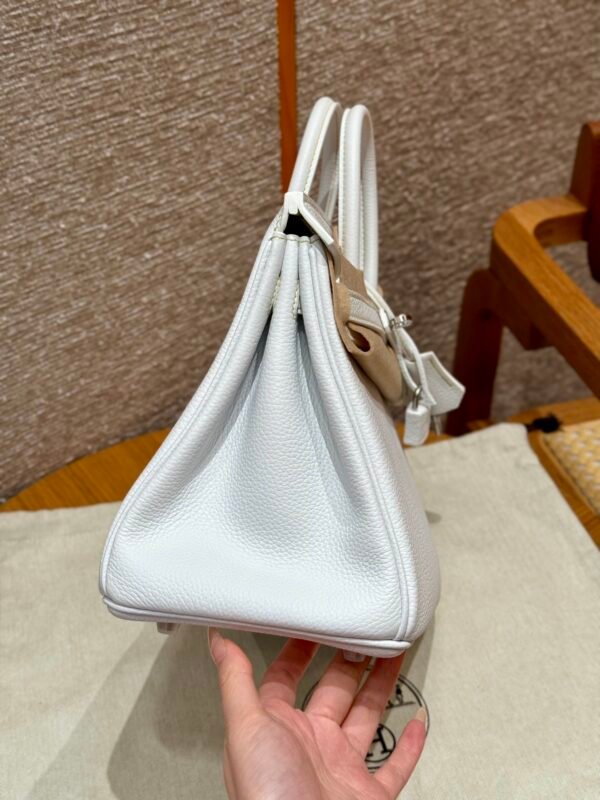Birkin 25 Colour：01/Blanc/9R/Lime - 图片 8