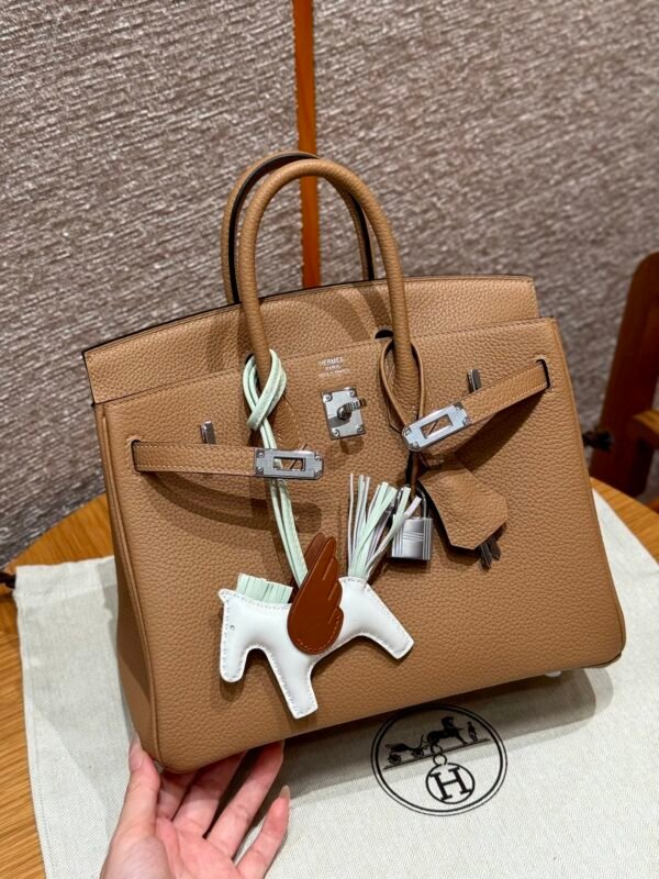 Birkin 25 Colour：0M/chai