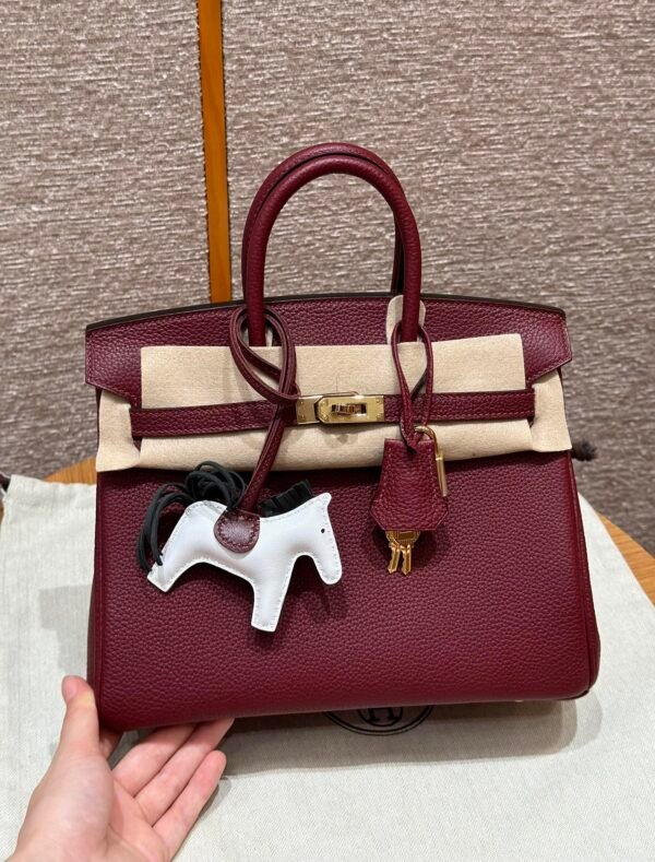 Birkin 25  Colour：55/Rouge H 【togo From France】