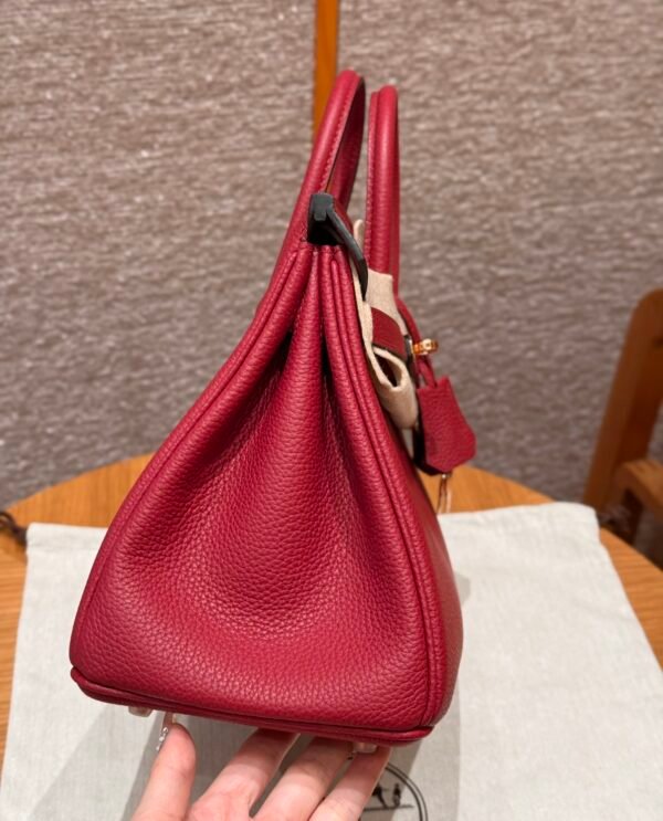 Birkin   25 Colour：B5/Ruby - 图片 3