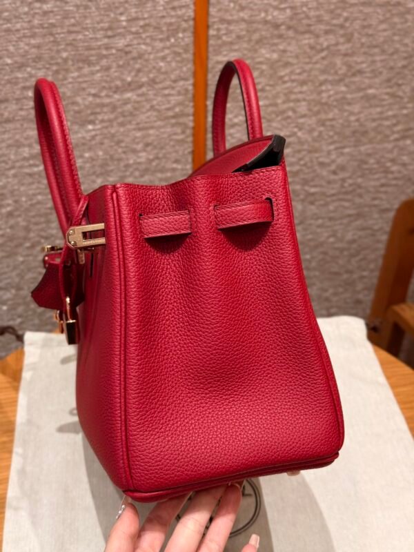 Birkin   25 Colour：B5/Ruby - 图片 6