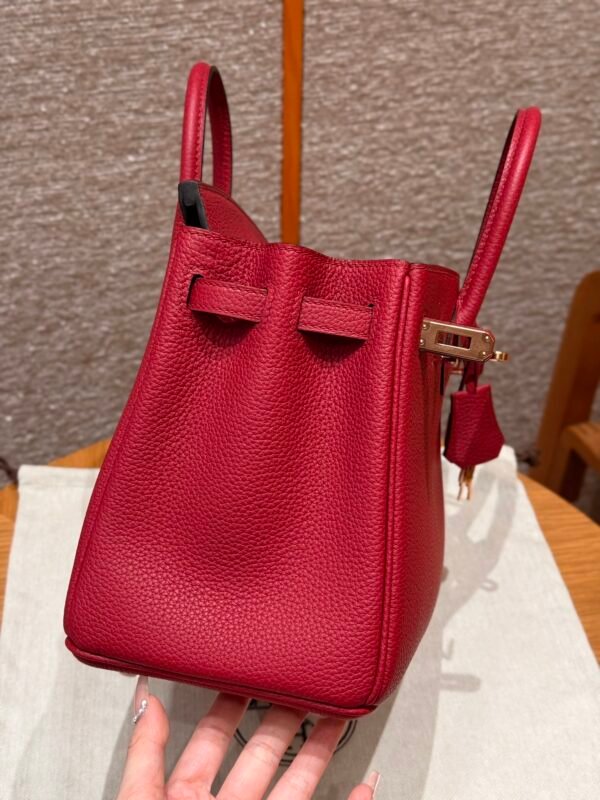 Birkin   25 Colour：B5/Ruby - 图片 7