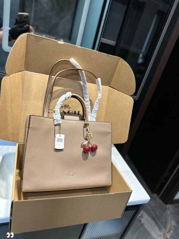 coach - 图片 3