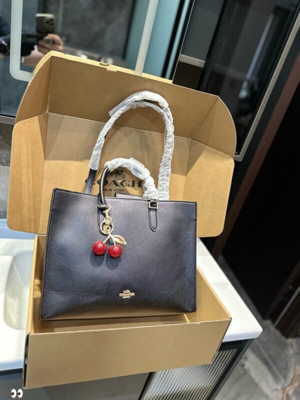 coach - 图片 7